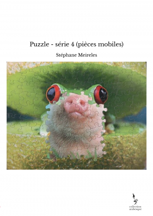 Puzzle - série 4 (pièces mobiles)