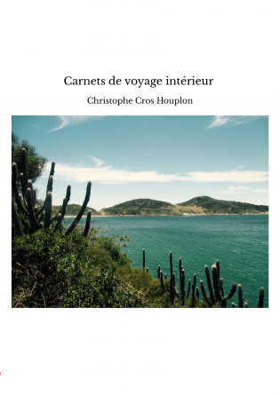 Carnets de voyage intérieur 