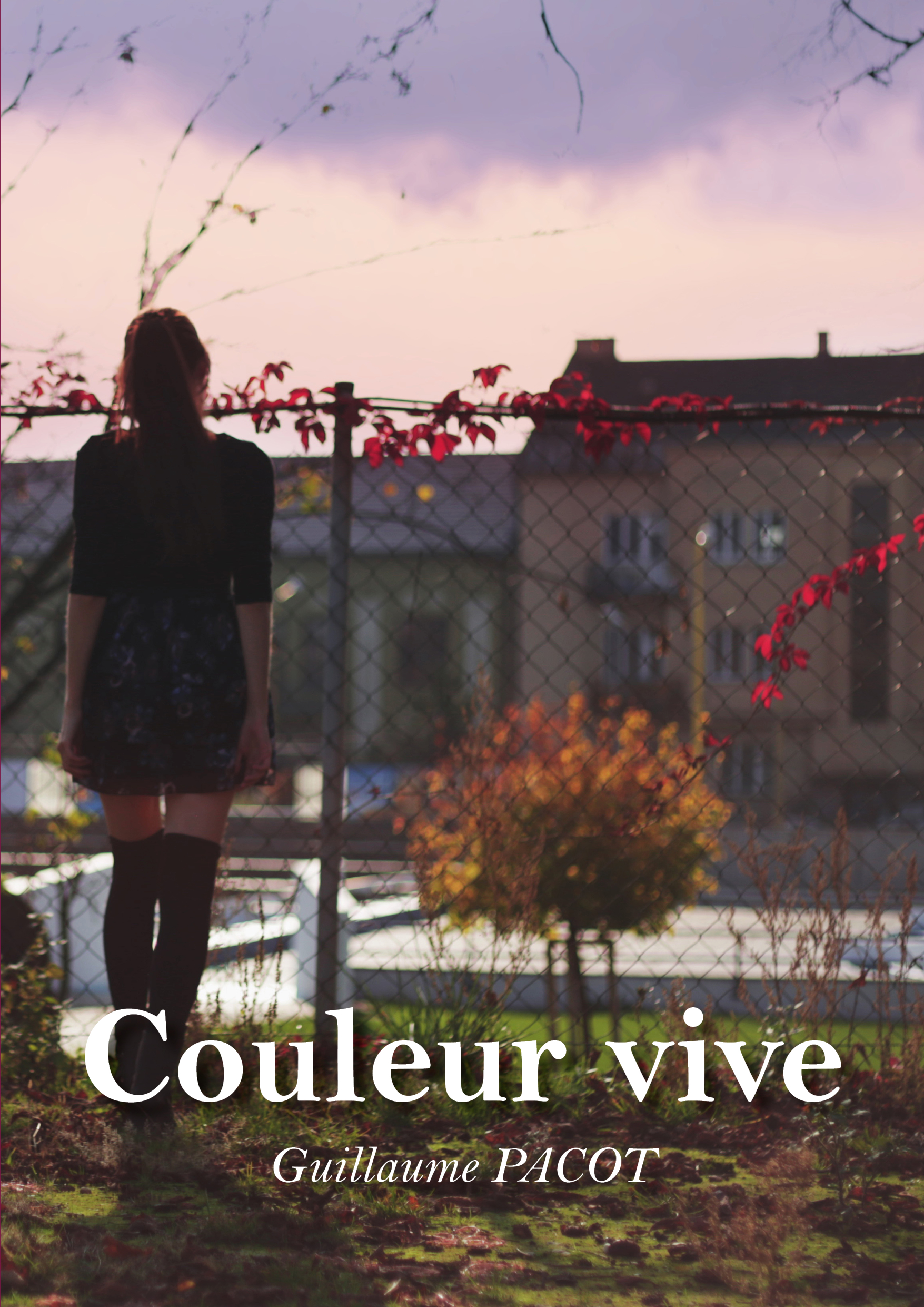 Couleur vive