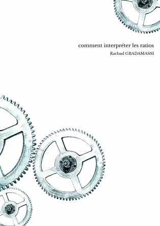 comment interpréter les ratios