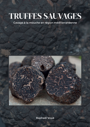 Truffes sauvages : Cavage à la mouche