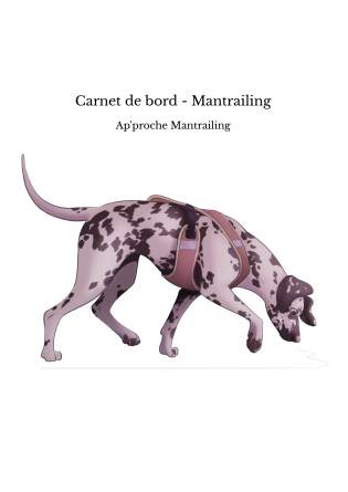 Carnet de bord - Mantrailing