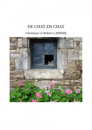 DE CHAT EN CHAT