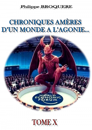 CHRONIQUES AMERES... Tome X