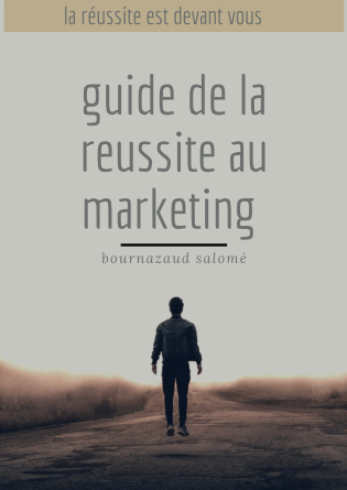 guide de la réussite au marketing