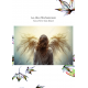 Les Ailes d'Enchantement