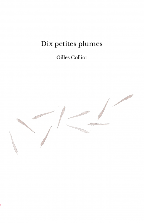 Dix petites plumes