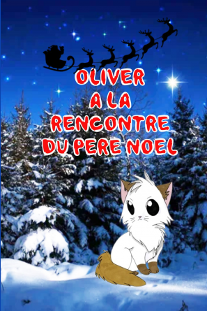 Oliver à la rencontre du père noël