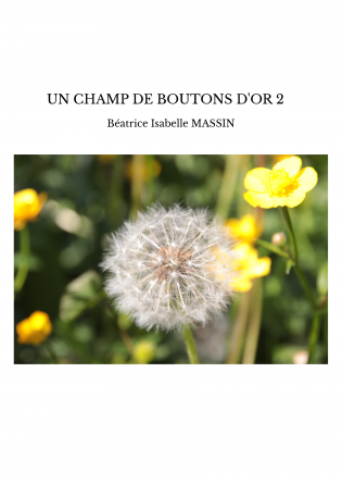 UN CHAMP DE BOUTONS D'OR 2 