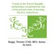 Travels in the French Republic : containing a circumstancial view of the present state of learning, the arts, manufactures, lear