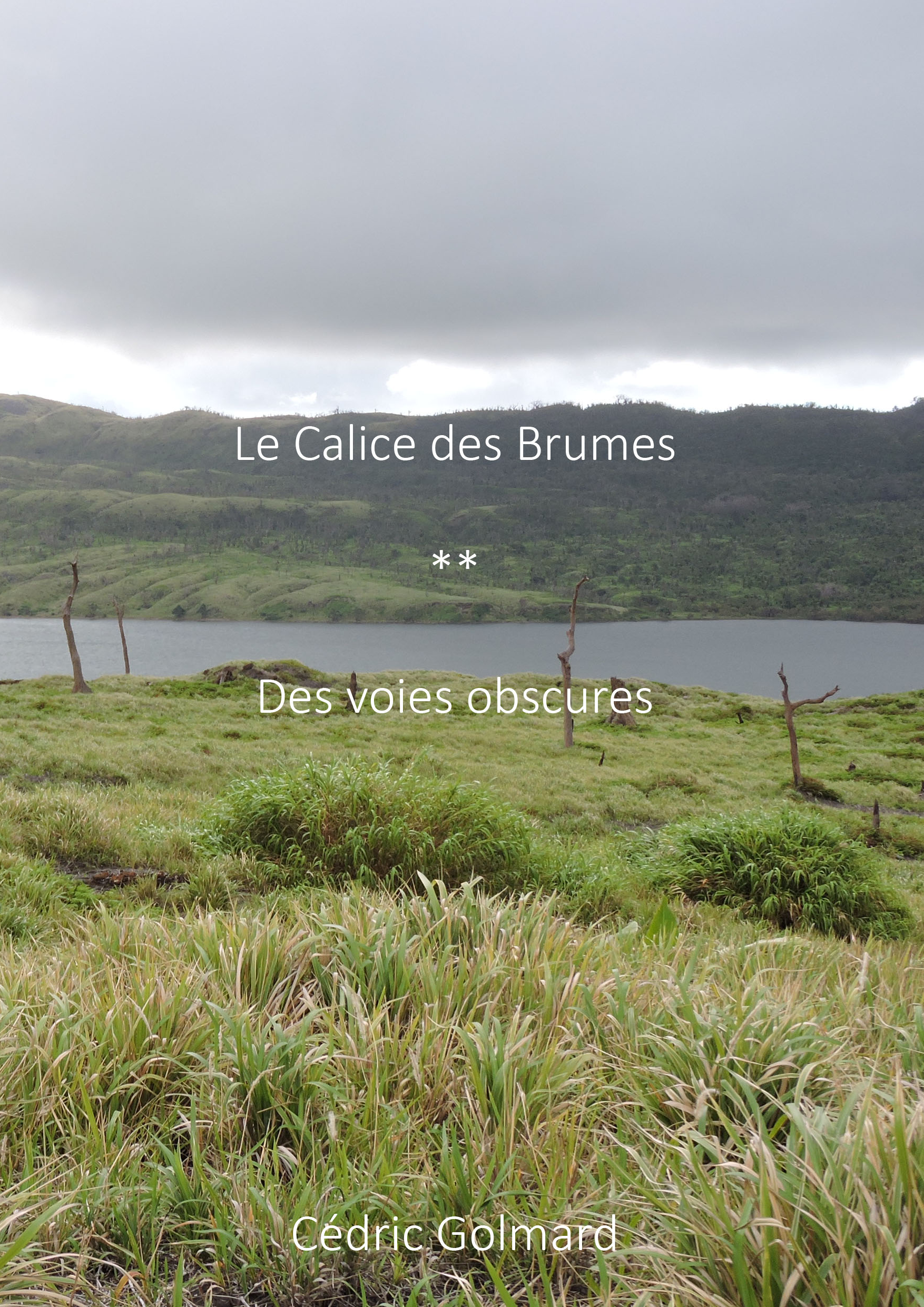 Le Calice des Brumes, Tome 2