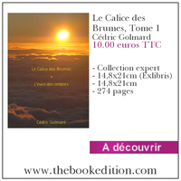 Le livre Le Calice des Brumes, Tome 1