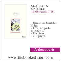 Le livre SKAÏ FAUX