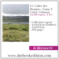 Le livre Le Calice des Brumes, Tome 2