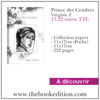 Le livre Prince des Cendres