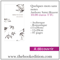 Le livre Quelques mots sans notes