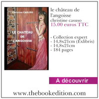 Le livre le château de l