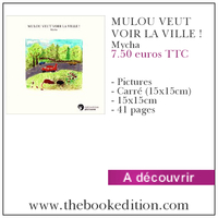 Le livre MULOU VEUT VOIR LA VILLE !