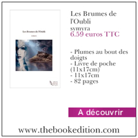 Le livre Les Brumes de l