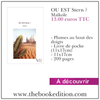 Le livre OU EST Stern ?