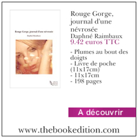 Le livre Rouge Gorge, journal d