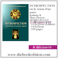 Le livre INTROSPECTION ou la vision d