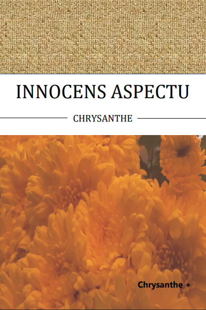 Chrysanthe